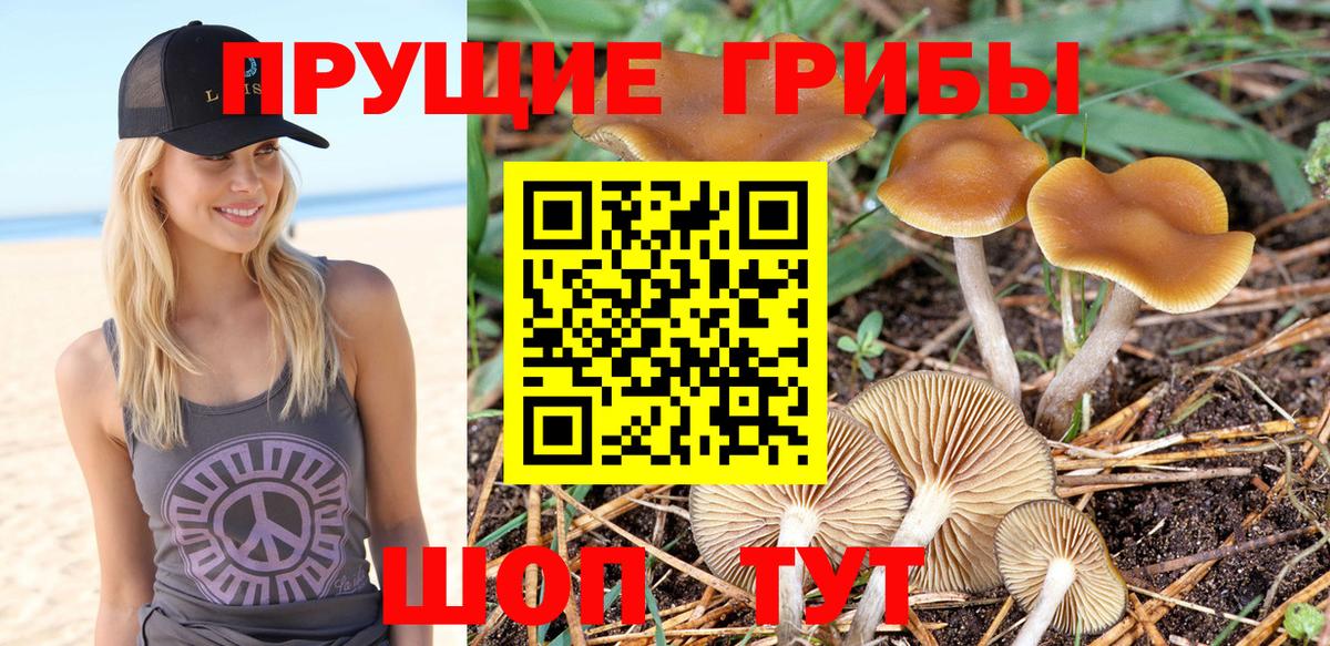 Псилоцибиновые грибы ЛСД  Вход с VPN  Кириши  Галлюциногенные грибы MAGIC MUSHROOMS 
