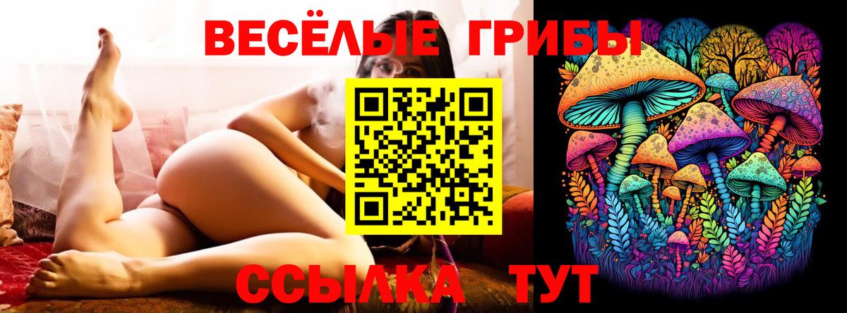 Псилоцибиновые грибы Cubensis Кириши