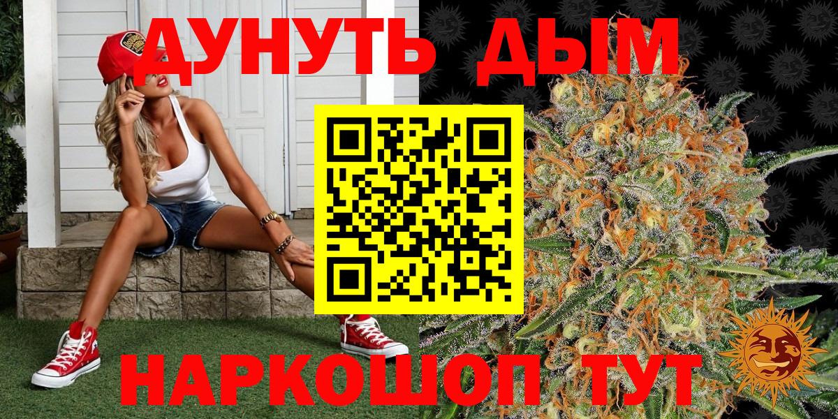 Бошки марихуана индика  Канабис SATIVA & INDICA  Каннабис SATIVA & INDICA  Вход с VPN  Кириши 